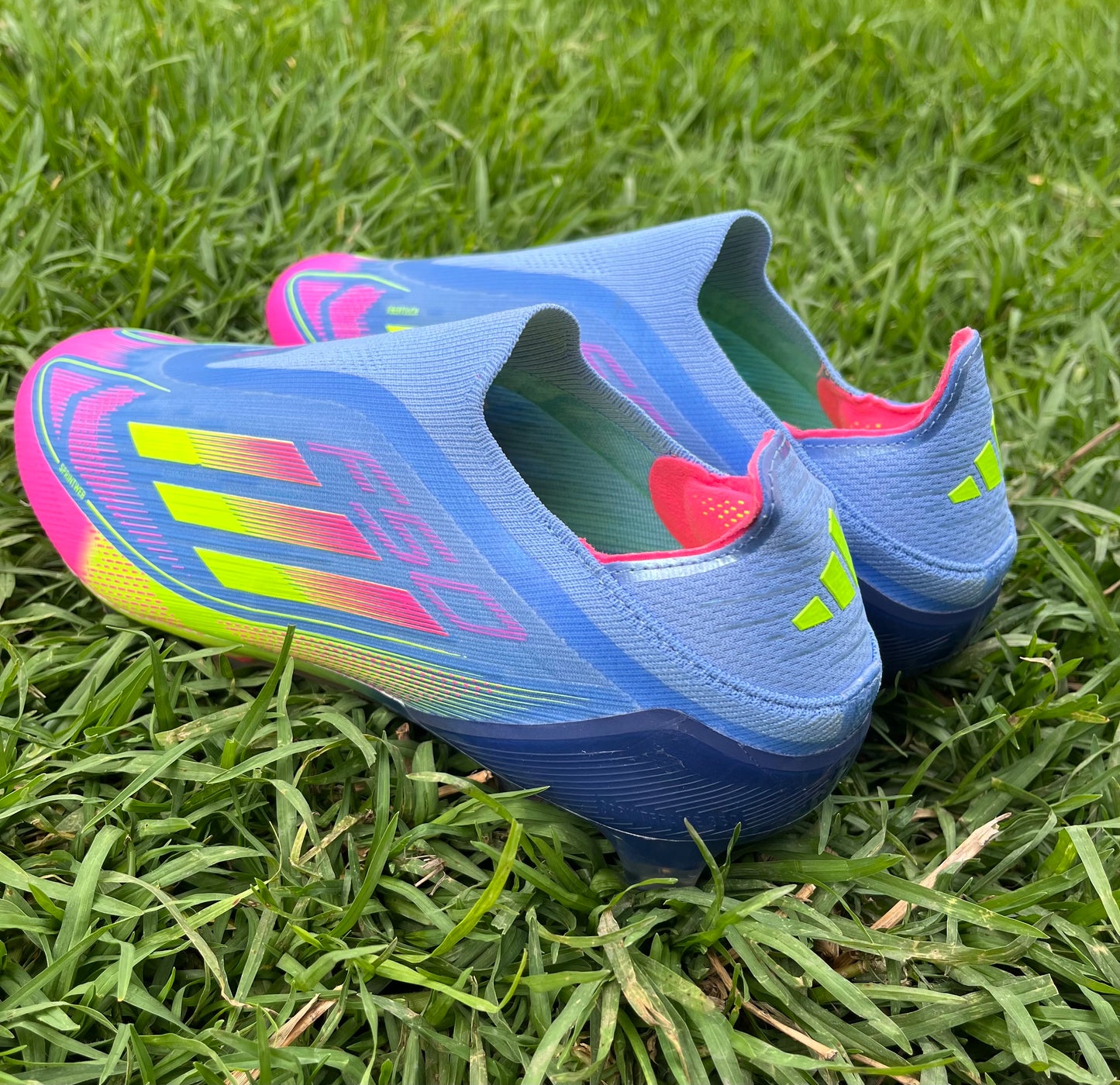 Adidas F50 Elite Laceless FG